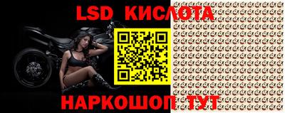прущие грибы Славгород